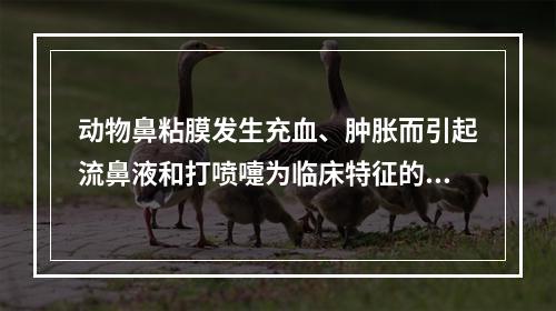 动物鼻粘膜发生充血、肿胀而引起流鼻液和打喷嚏为临床特征的疾