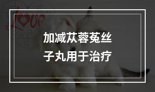 加减苁蓉菟丝子丸用于治疗