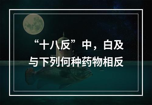 “十八反”中，白及与下列何种药物相反