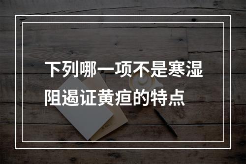 下列哪一项不是寒湿阻遏证黄疸的特点