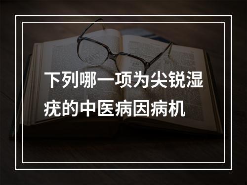 下列哪一项为尖锐湿疣的中医病因病机