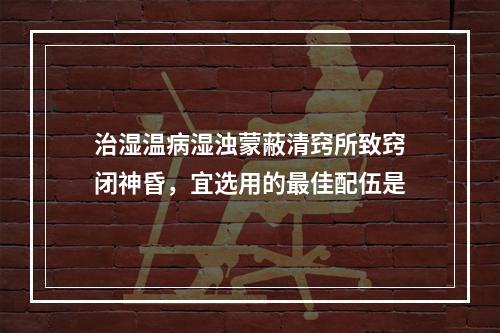 治湿温病湿浊蒙蔽清窍所致窍闭神昏，宜选用的最佳配伍是