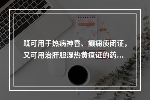 既可用于热病神昏、癫痫痰闭证，又可用治肝胆湿热黄疸证的药物是