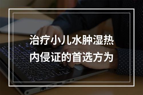 治疗小儿水肿湿热内侵证的首选方为