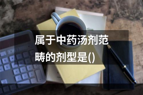 属于中药汤剂范畴的剂型是()