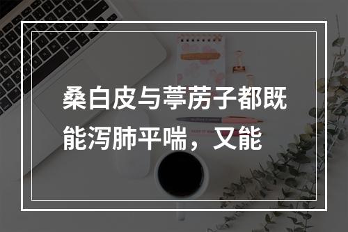 桑白皮与葶苈子都既能泻肺平喘，又能