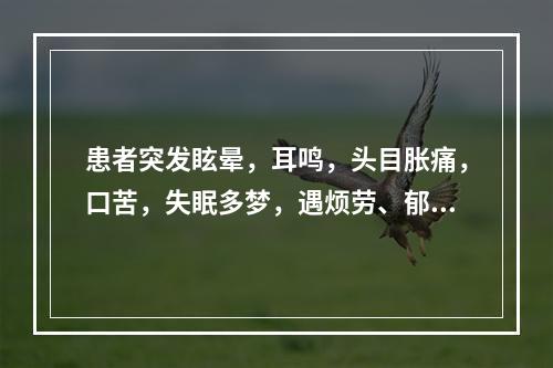 患者突发眩晕，耳鸣，头目胀痛，口苦，失眠多梦，遇烦劳、郁怒而