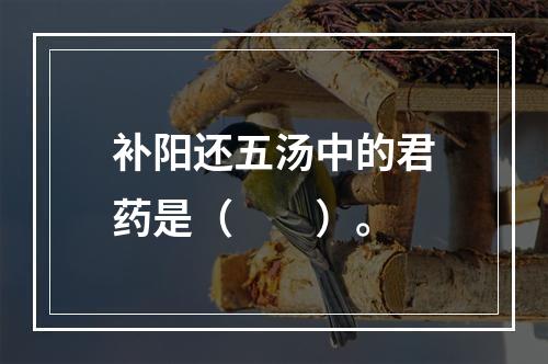 补阳还五汤中的君药是（　　）。