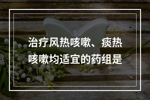 治疗风热咳嗽、痰热咳嗽均适宜的药组是