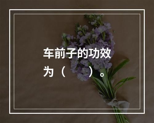 车前子的功效为（　　）。