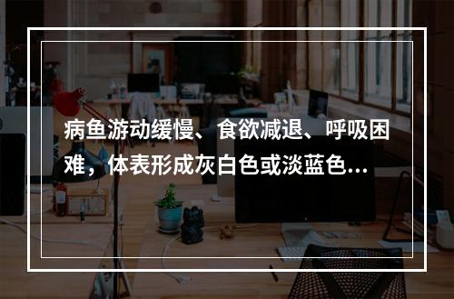 病鱼游动缓慢、食欲减退、呼吸困难，体表形成灰白色或淡蓝色的粘