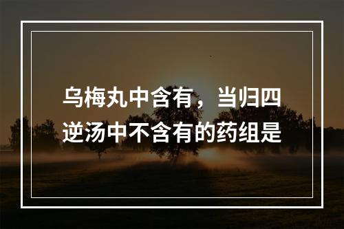 乌梅丸中含有，当归四逆汤中不含有的药组是