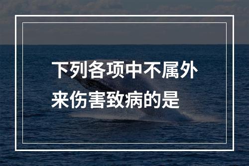 下列各项中不属外来伤害致病的是