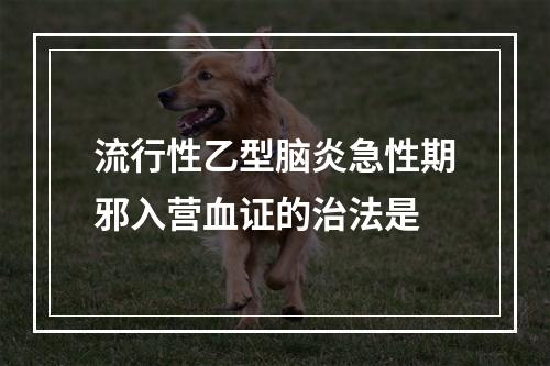 流行性乙型脑炎急性期邪入营血证的治法是