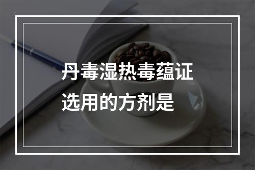 丹毒湿热毒蕴证选用的方剂是