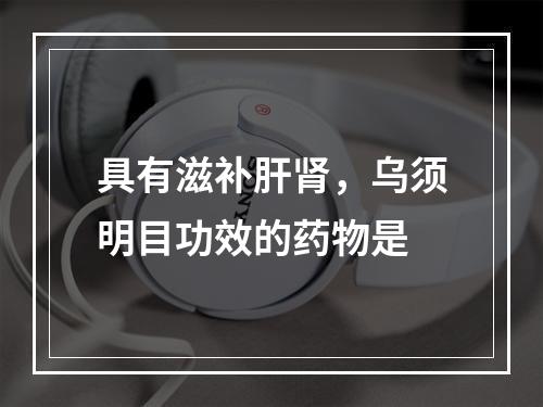 具有滋补肝肾，乌须明目功效的药物是