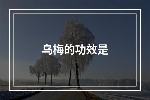 乌梅的功效是