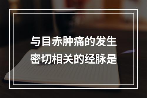 与目赤肿痛的发生密切相关的经脉是