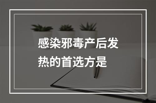 感染邪毒产后发热的首选方是