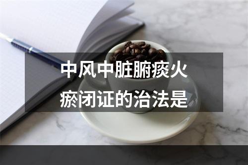 中风中脏腑痰火瘀闭证的治法是