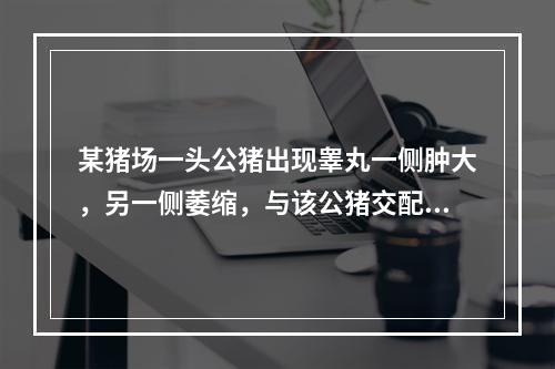 某猪场一头公猪出现睾丸一侧肿大，另一侧萎缩，与该公猪交配的母