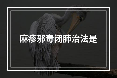 麻疹邪毒闭肺治法是