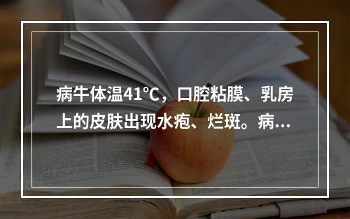 病牛体温41℃，口腔粘膜、乳房上的皮肤出现水疱、烂斑。病牛蹄