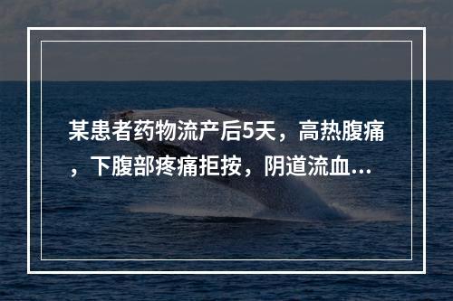 某患者药物流产后5天，高热腹痛，下腹部疼痛拒按，阴道流血气味