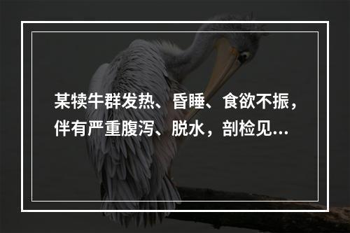 某犊牛群发热、昏睡、食欲不振，伴有严重腹泻、脱水，剖检见肠管