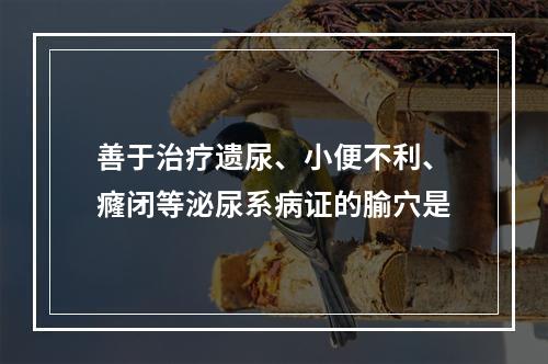 善于治疗遗尿、小便不利、癃闭等泌尿系病证的腧穴是