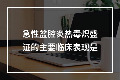 急性盆腔炎热毒炽盛证的主要临床表现是