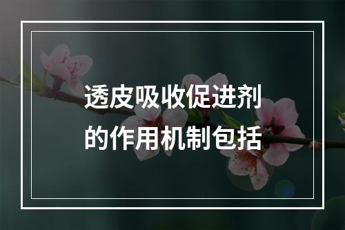 透皮吸收促进剂的作用机制包括