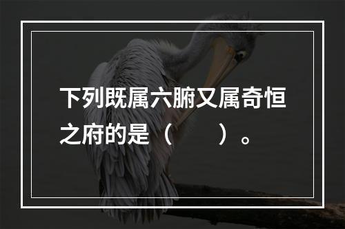 下列既属六腑又属奇恒之府的是（　　）。