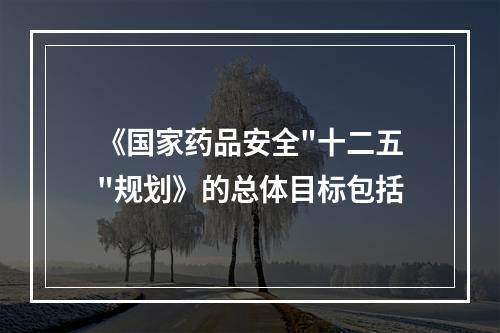 《国家药品安全