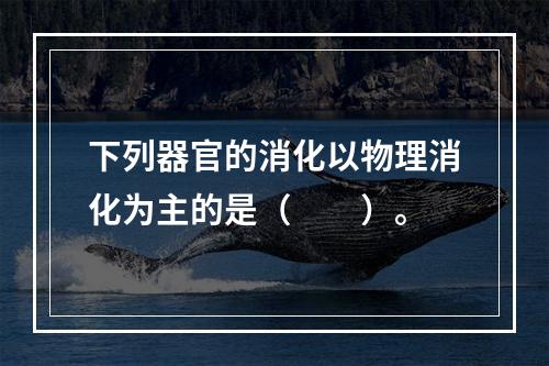 下列器官的消化以物理消化为主的是（　　）。