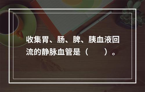 收集胃、肠、脾、胰血液回流的静脉血管是（　　）。