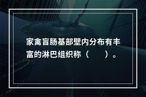 家禽盲肠基部壁内分布有丰富的淋巴组织称（　　）。