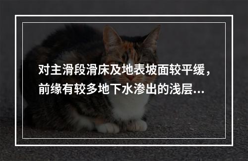 对主滑段滑床及地表坡面较平缓，前缘有较多地下水渗出的浅层土