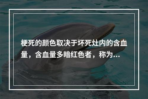 梗死的颜色取决于坏死灶内的含血量，含血量多暗红色者，称为（