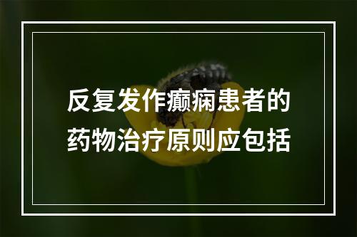 反复发作癫痫患者的药物治疗原则应包括