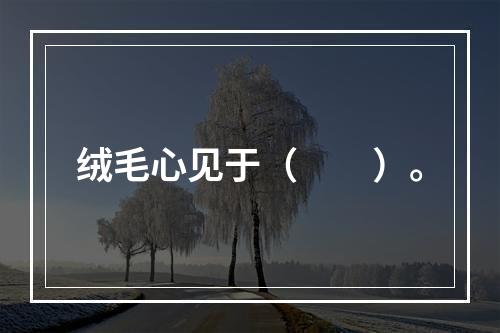 绒毛心见于（　　）。