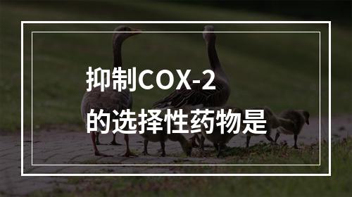 抑制COX-2的选择性药物是