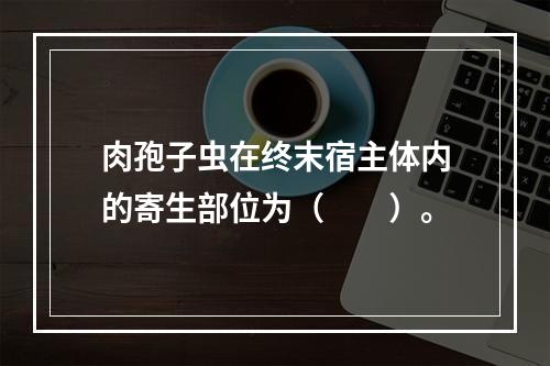 肉孢子虫在终末宿主体内的寄生部位为（　　）。