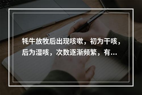 牦牛放牧后出现咳嗽，初为干咳，后为湿咳，次数逐渐频繁，有的