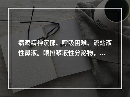 病鸡精神沉郁、呼吸困难、流黏液性鼻液。眼排浆液性分泌物，有