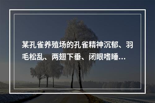 某孔雀养殖场的孔雀精神沉郁、羽毛松乱、两翅下垂、闭眼嗜睡、