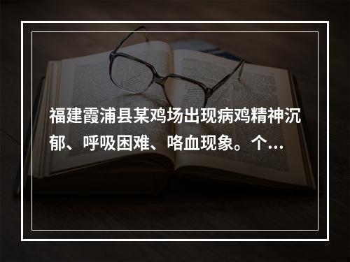 福建霞浦县某鸡场出现病鸡精神沉郁、呼吸困难、咯血现象。个别