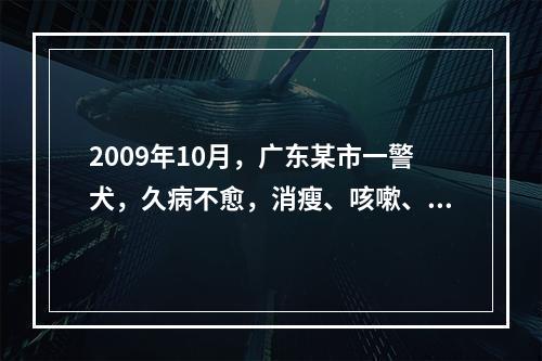 2009年10月，广东某市一警犬，久病不愈，消瘦、咳嗽、呼