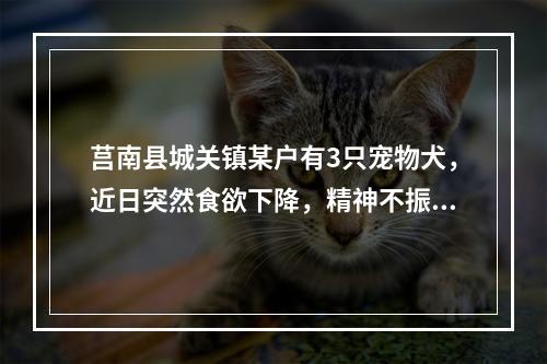 莒南县城关镇某户有3只宠物犬，近日突然食欲下降，精神不振。