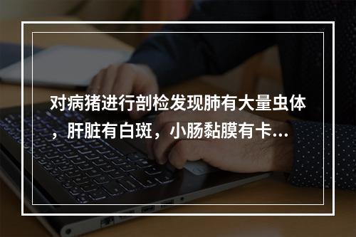 对病猪进行剖检发现肺有大量虫体，肝脏有白斑，小肠黏膜有卡他性